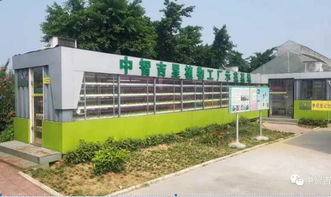 三水蘆苞溫泉杯,青少兒輪滑大賽