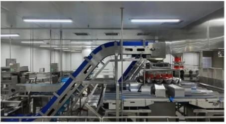 踐行雙碳戰略，泰森打造綠色環保的智慧工廠，引領食品行業健康新風尚