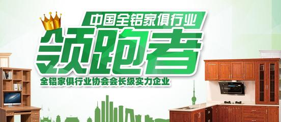 實(shí)力全鋁衣柜櫥柜鋁型材廠家 佛山市譚龍建材的健康選擇